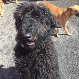 Meet your Posher, Sabrina